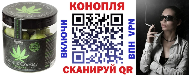 где можно купить наркотик  гидра онион  Canna-Cookies конопля  Навашино 