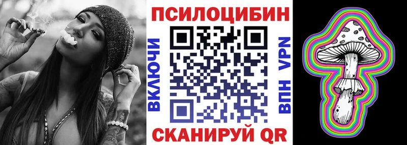 Псилоцибиновые грибы Psilocybe Навашино
